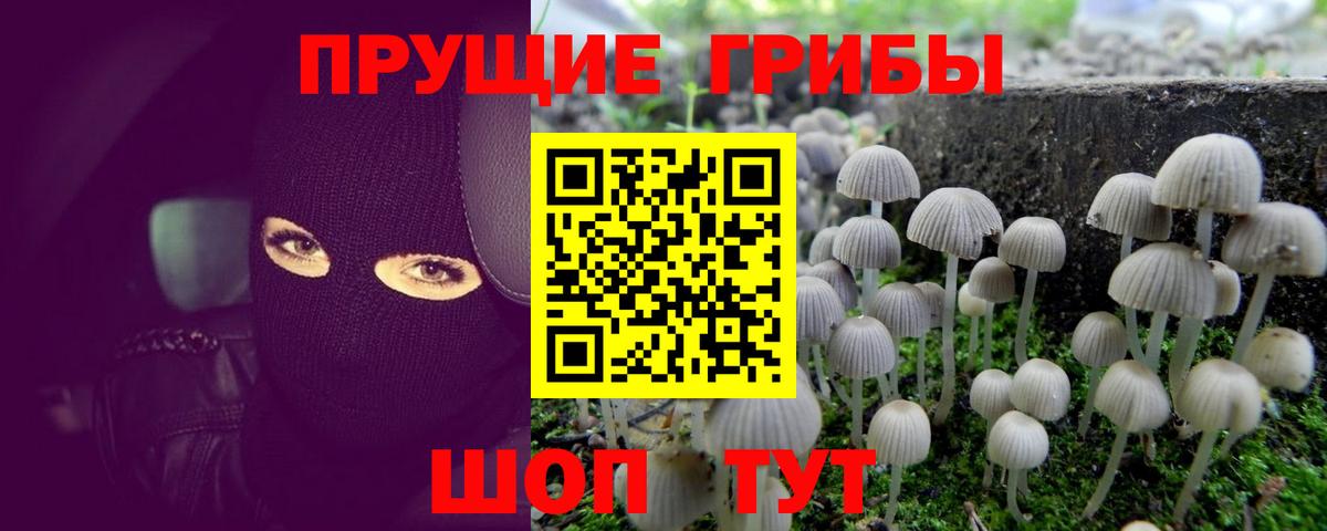 Галлюциногенные грибы Cubensis Трёхгорный